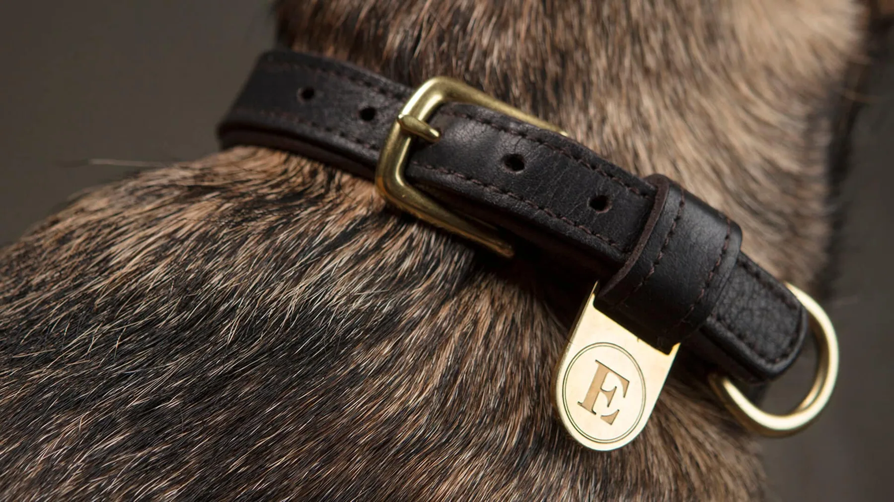 Finnish Equestrian Company