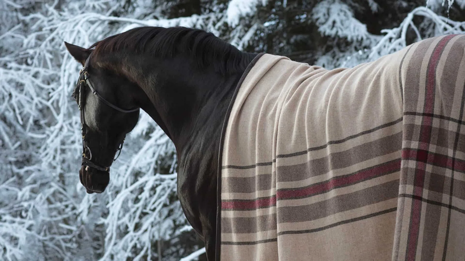 Finnish Equestrian Company
