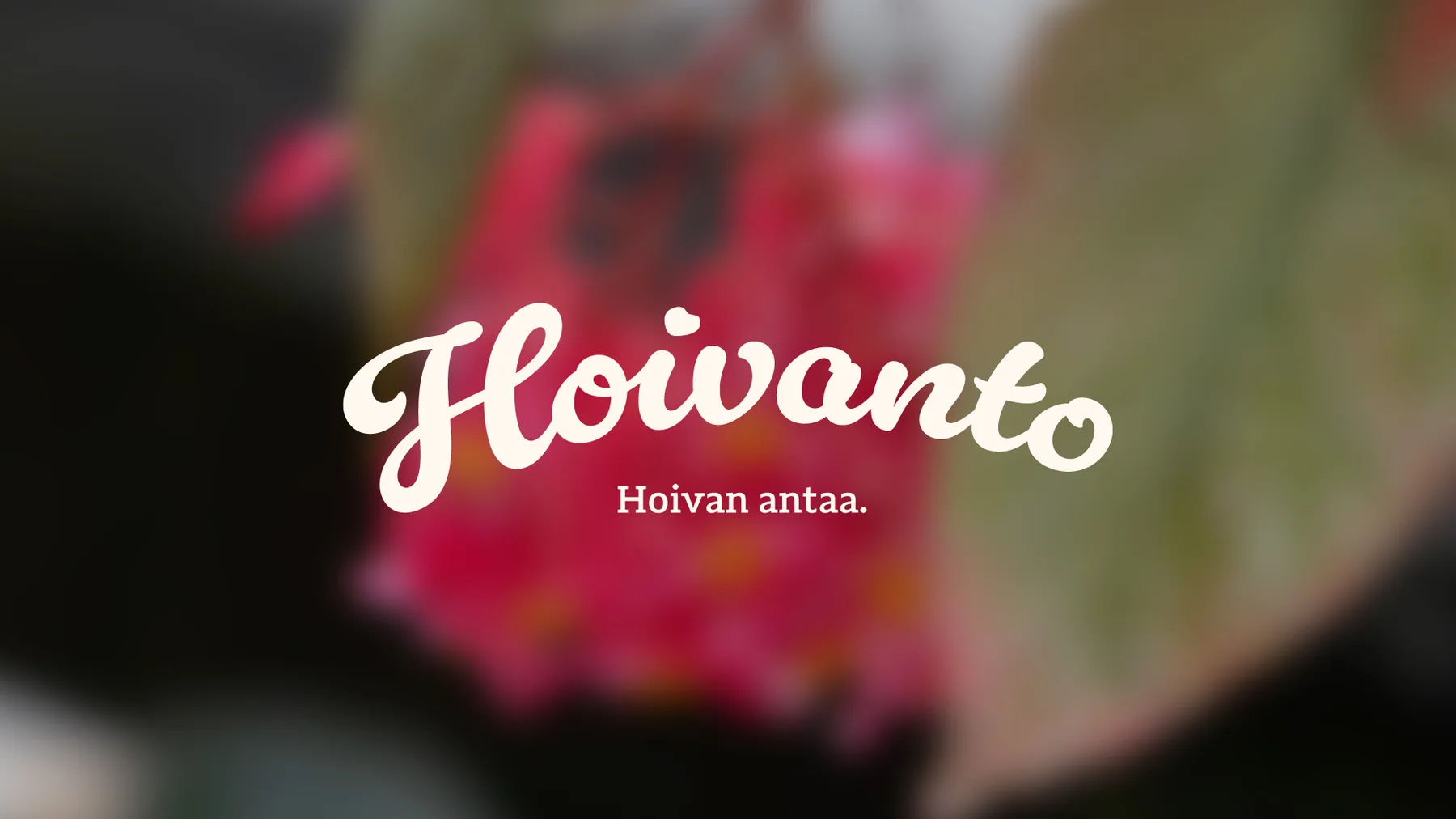 Hoivanto