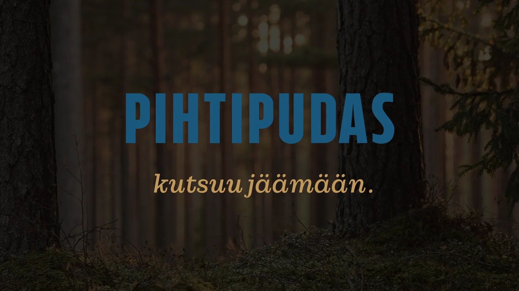 Pihtiputaan kunta